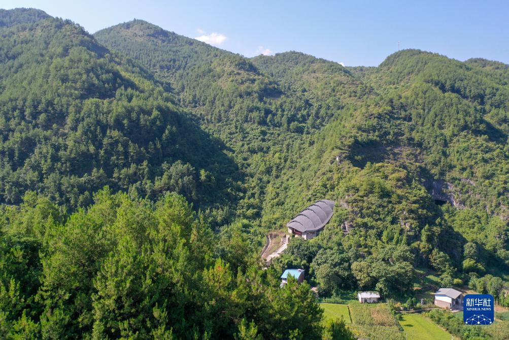 王国皇冠游戏